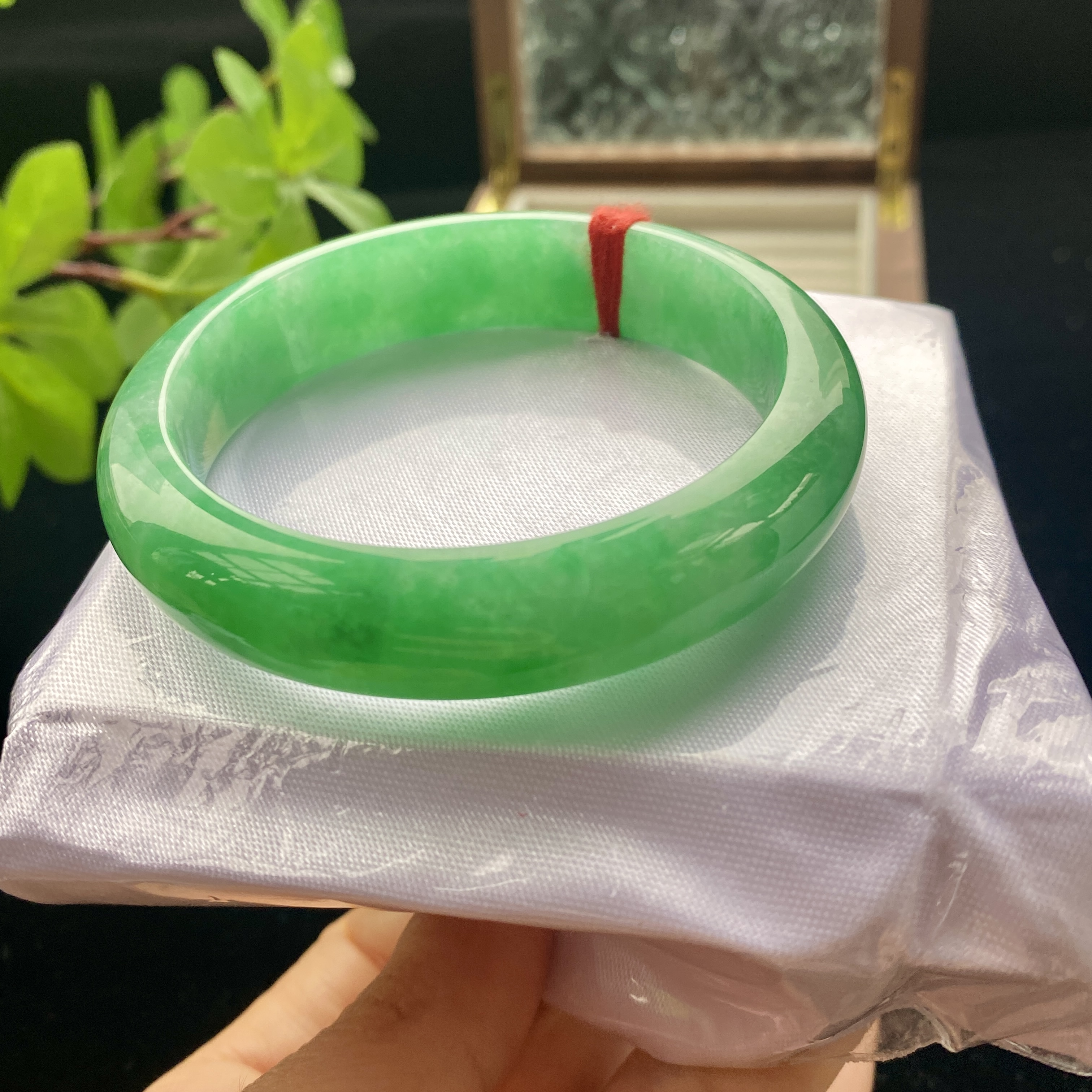 缅甸A货冰种满绿正阳绿彩飘花正圈翡翠编号-7321尺寸56