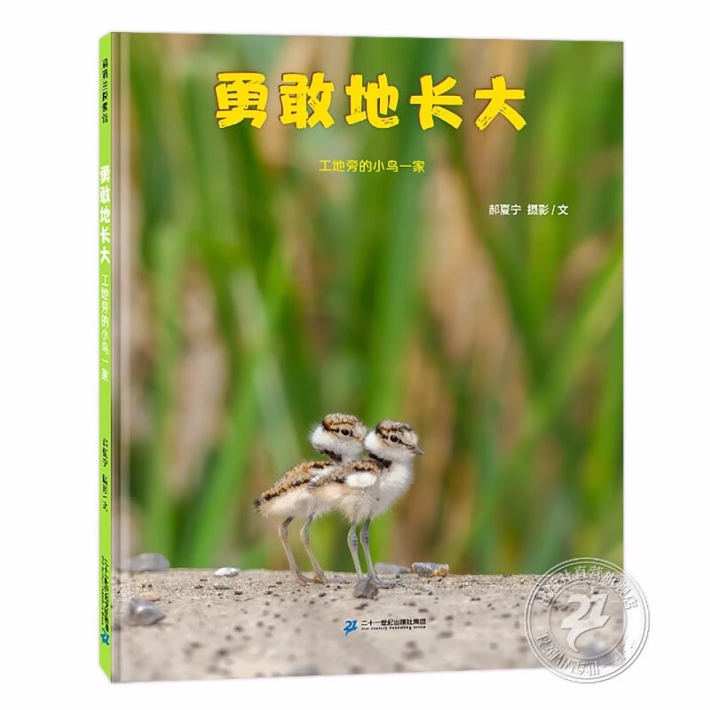 【21世纪】勇敢地长大--工地旁的小鸟一家 蒲蒲兰绘本馆