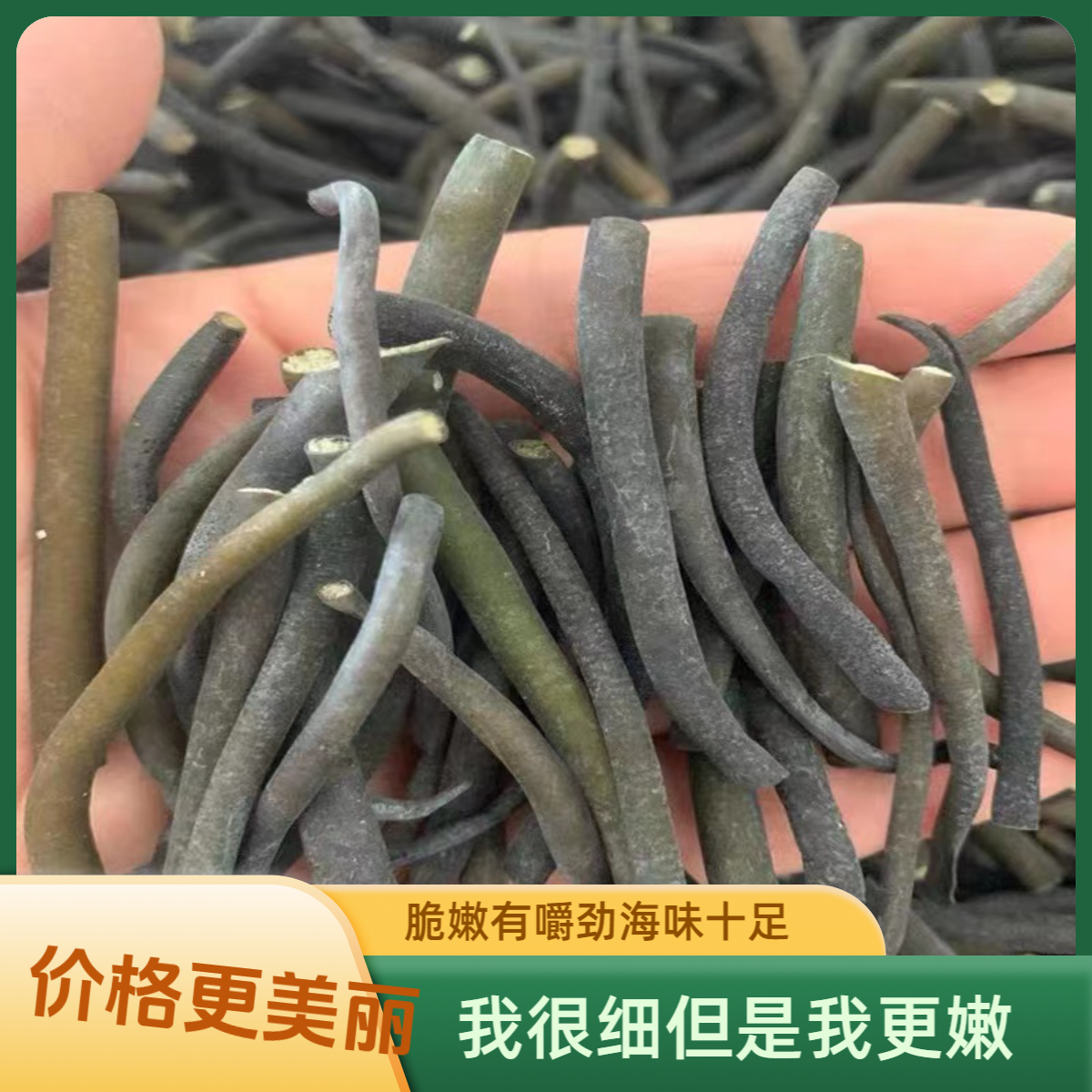 南极细条海笋纯干货海茸丝海松茸凉拌菜食材凉拌酸辣海笋半斤一斤