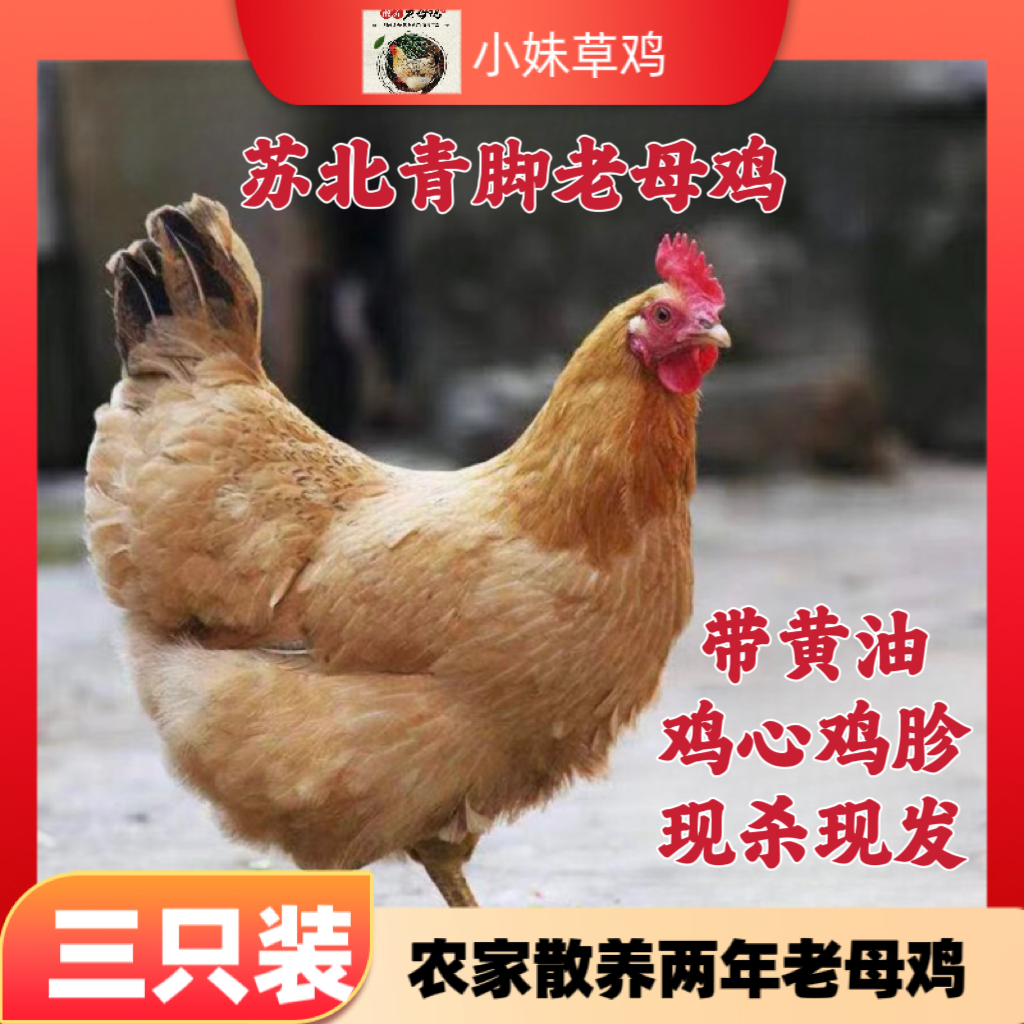 （3只）苏北老母鸡 单只净重2-2.6斤 顺丰冷运