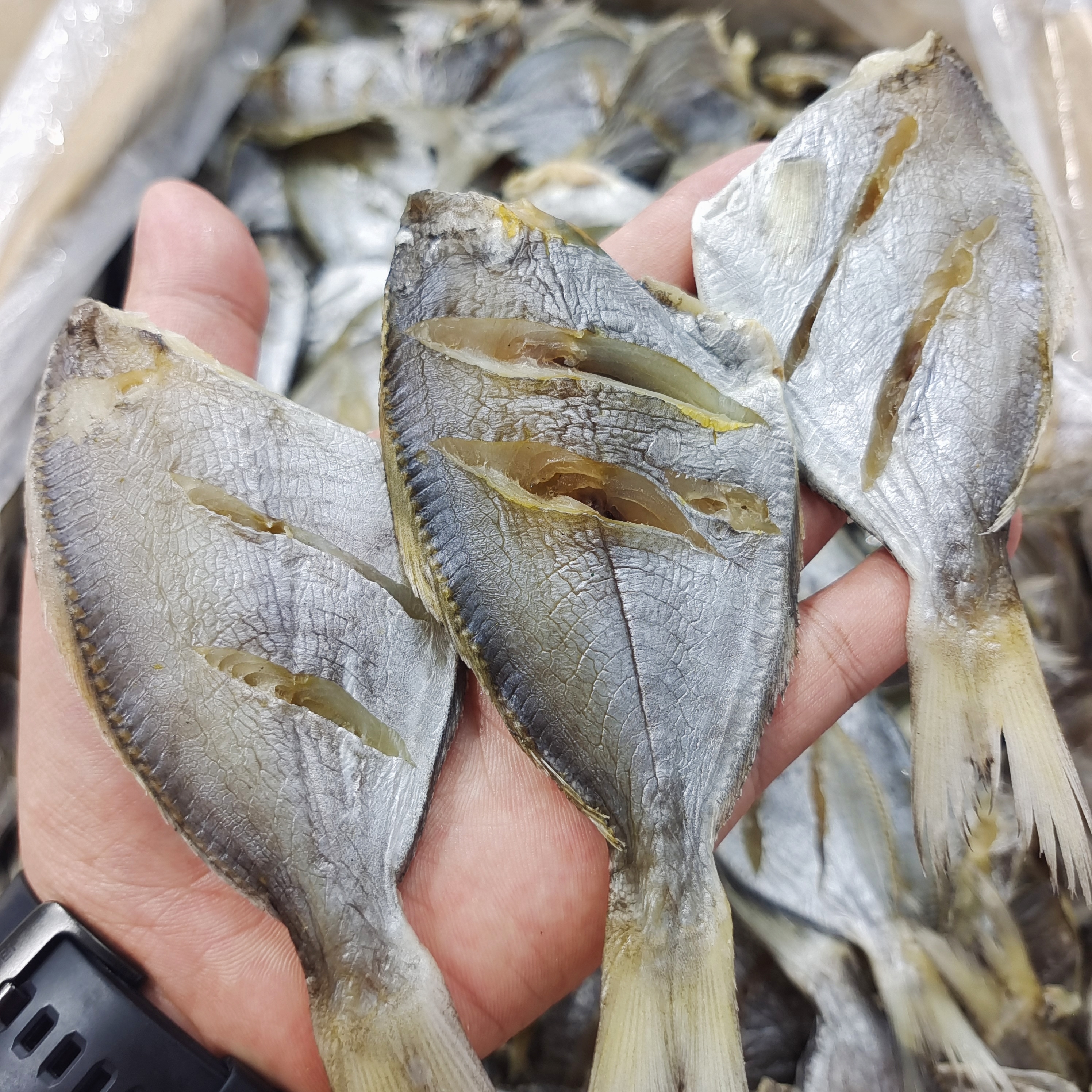 【马鲛仔海产】野生咸香南鲳鱼干 1斤装 顺丰包邮 广东茂名博贺港