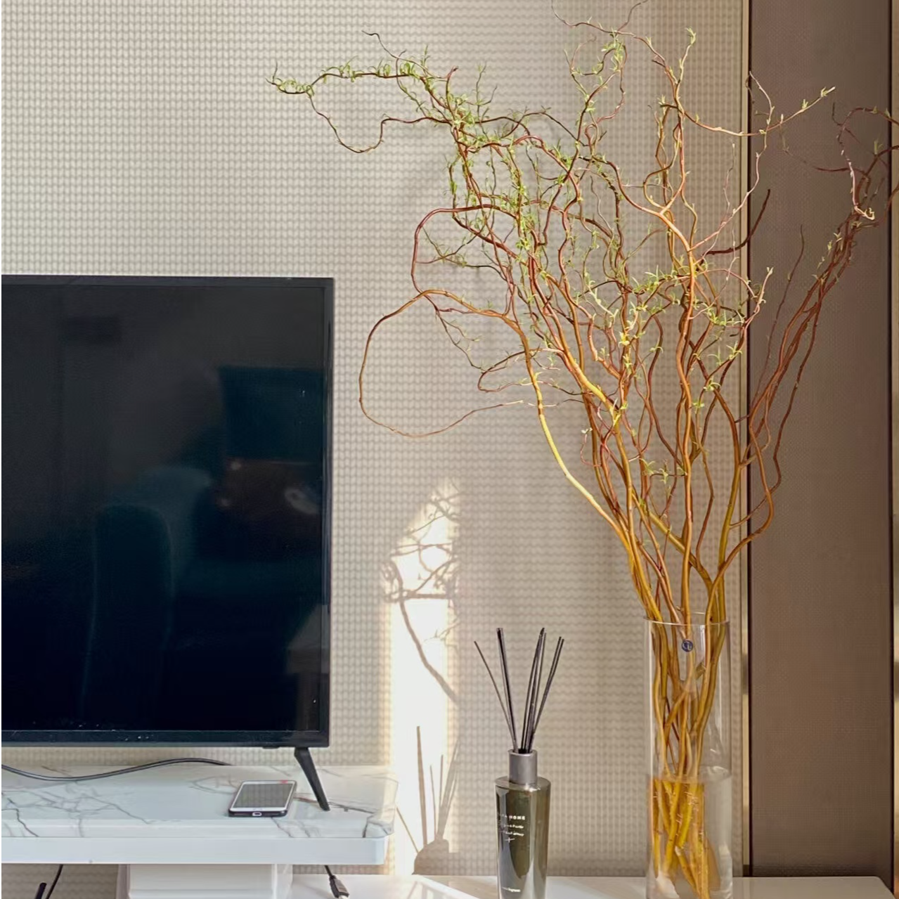 德国进口黄金龙柳金丝楠藤水培懒人植物鲜枝家居装饰落地水养发芽