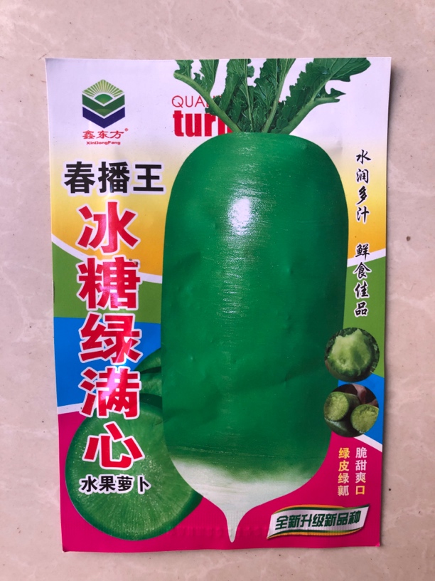 春播王冰糖绿满心萝卜