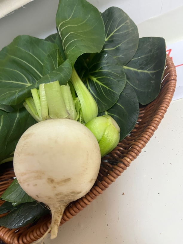 江苏东台新鲜白萝卜