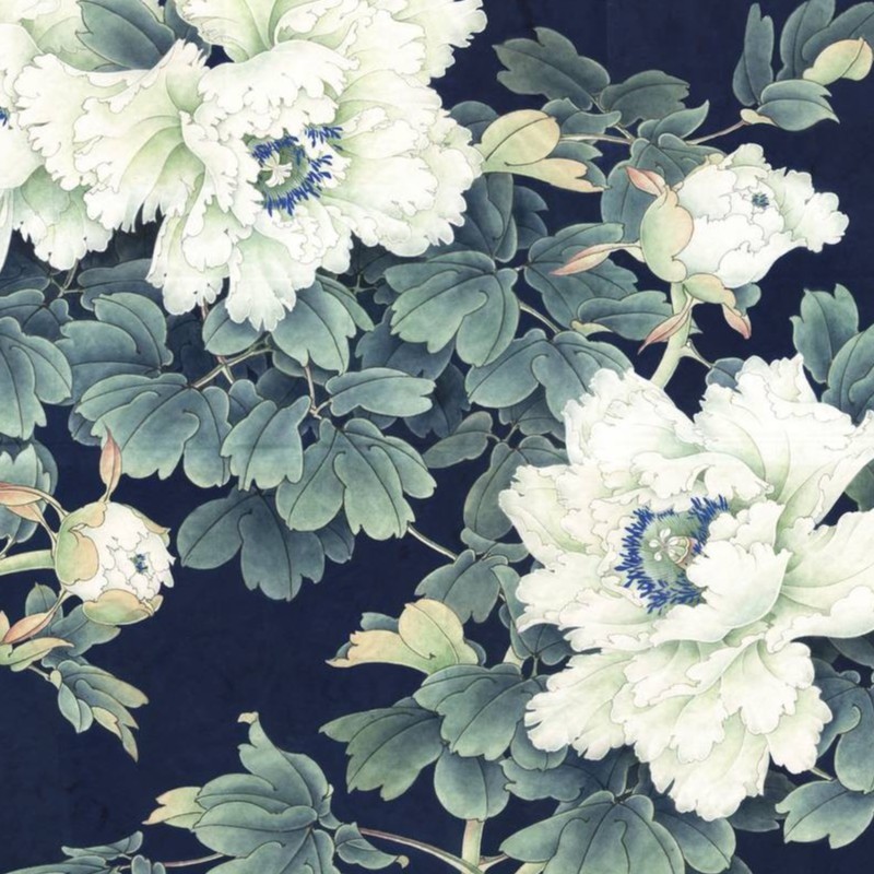 评级封装刷国画3131链接