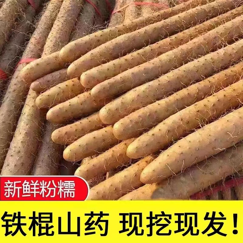 正宗铁棍山药小白嘴山药淮山药新鲜种植产地直发带土5斤