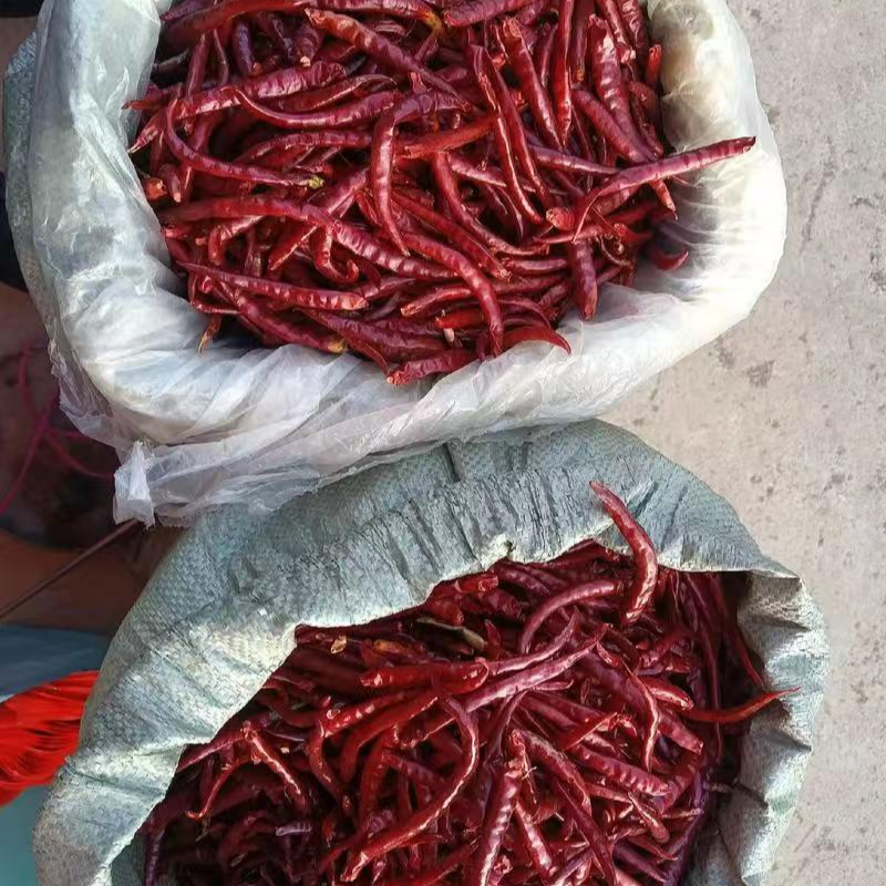 丘北干辣椒‘自然风干