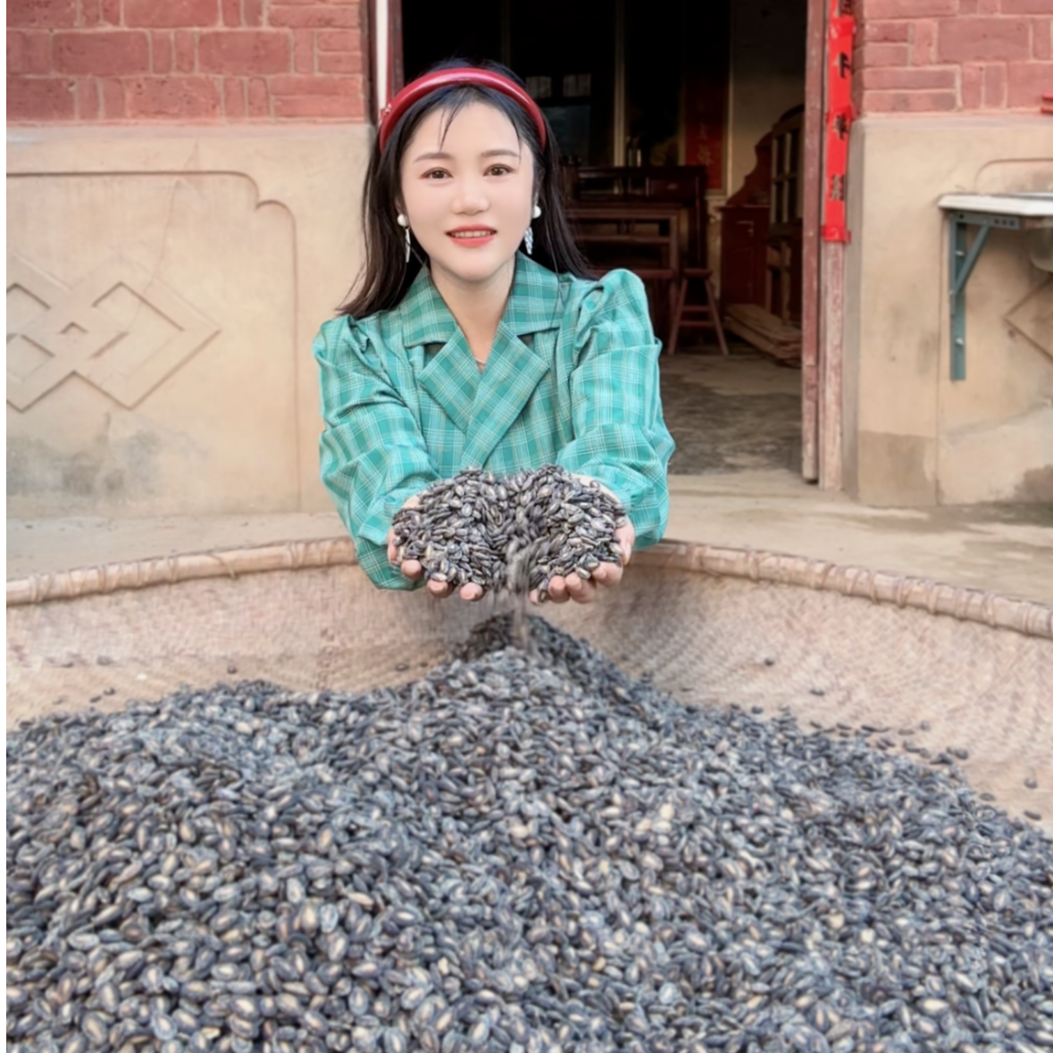 今年农家打瓜子大别山特产农家西瓜子打瓜籽炒货小而香500g净重