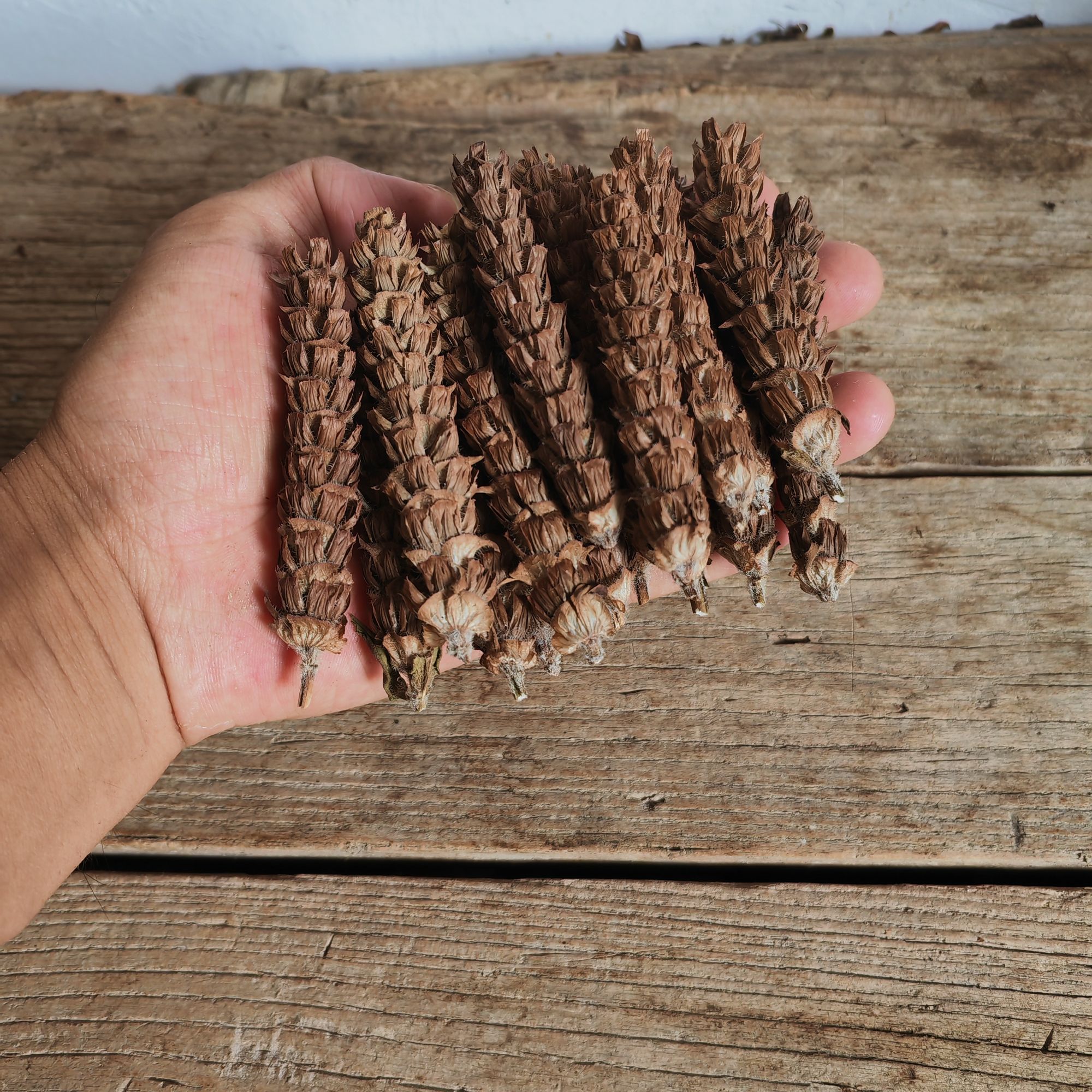 确山夏枯球夏枯草中药材散装白毛夏古草夏苦草无熏硫新货泡茶泡水
