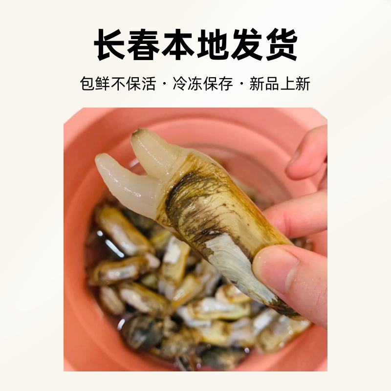蛏子2-3斤长春本市鲜活发货 包鲜不保活