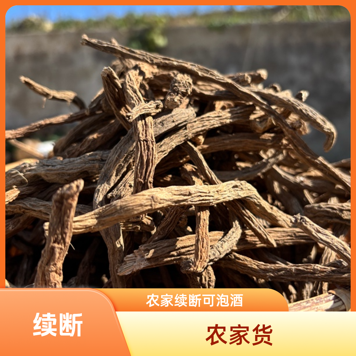 续断 挑选农家货泡酒泡茶煲汤
