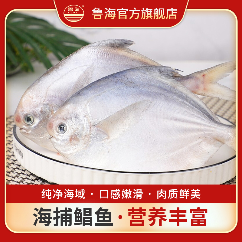 胶东海捕鲳鱼（5斤任选/份）肉质细嫩 顺丰闪送