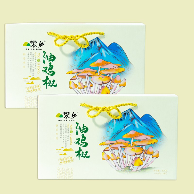 送礼款油鸡枞（含香菇款）400g*2 四川攀枝花特产油鸡枞菌子特色