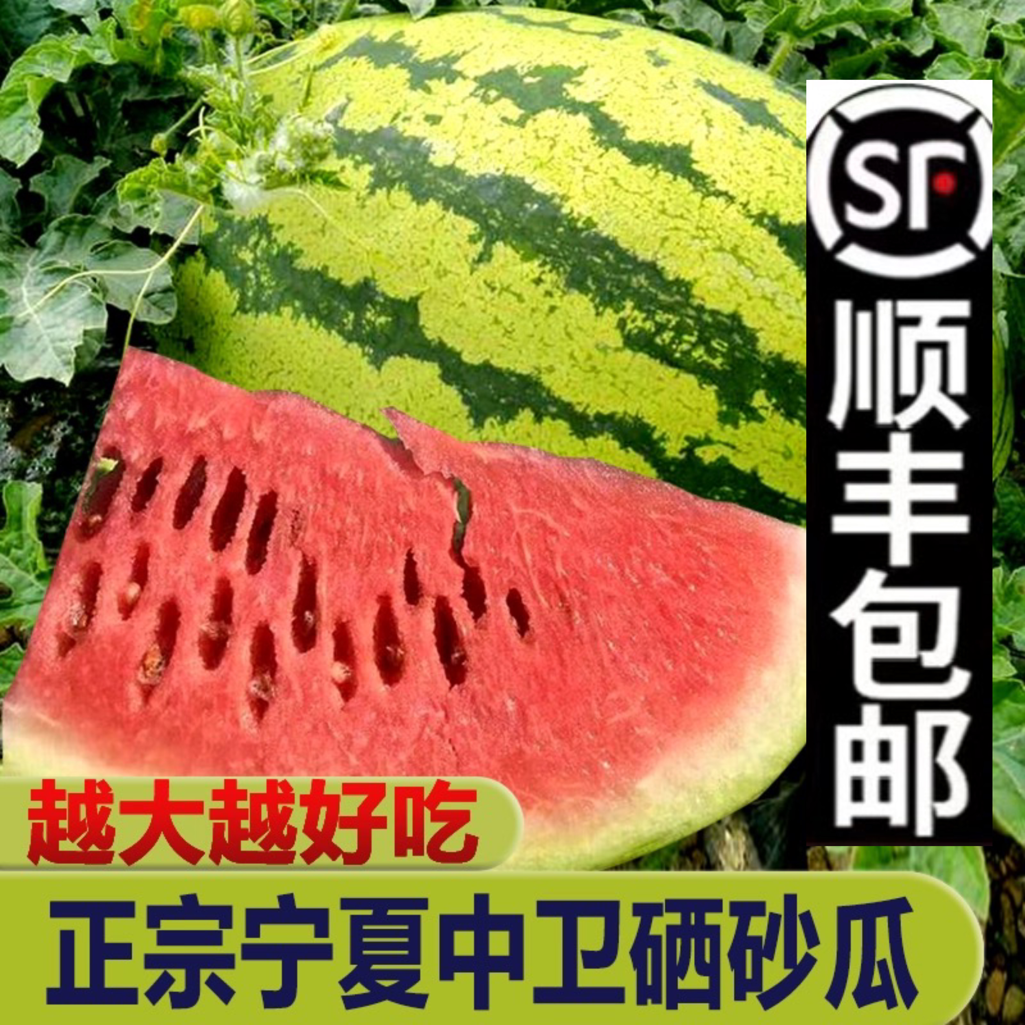 正宗宁夏中卫香山硒砂瓜西瓜【坏瓜烂瓜包赔 多送两斤】顺丰包邮