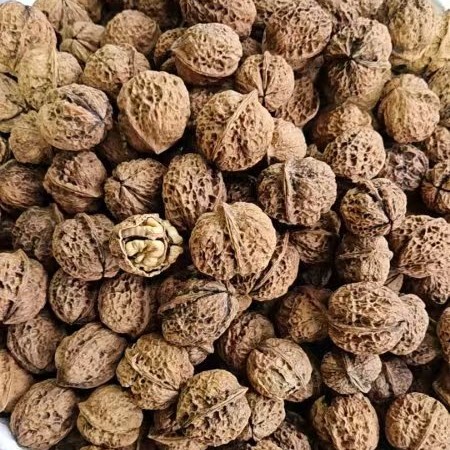 核桃2.5公斤 包邮