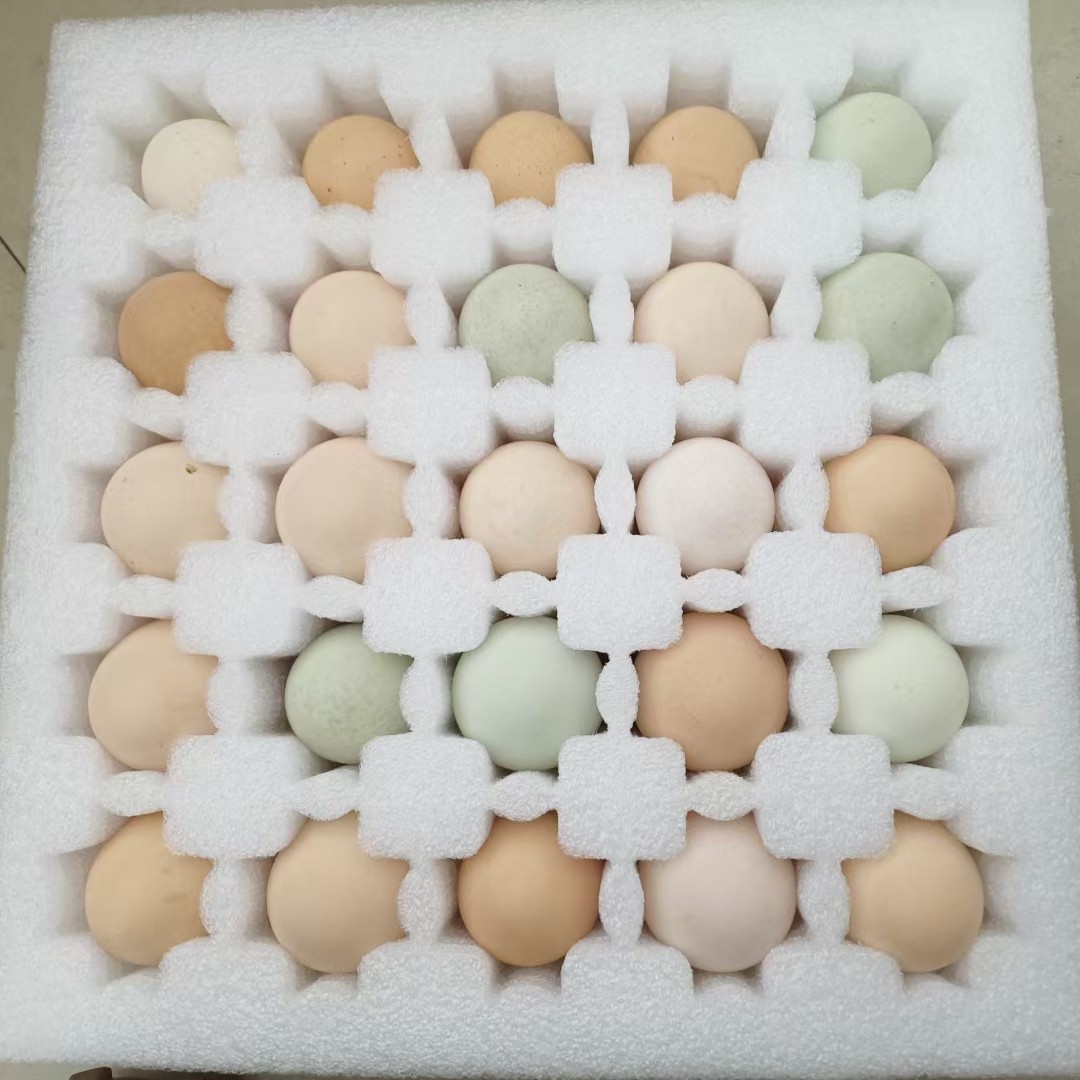 农家散养走地鸡蛋散养土鸡蛋新鲜正宗跑山鸡土鸡蛋吃青菜稻谷虫子