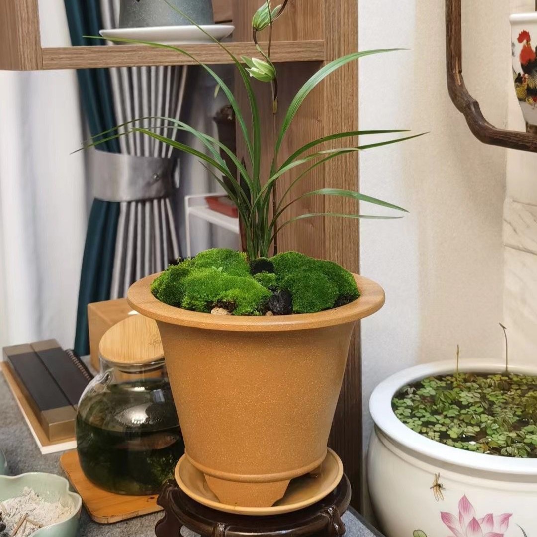 宜兴紫砂花盆 小三足斗笠翠盖宋梅盆