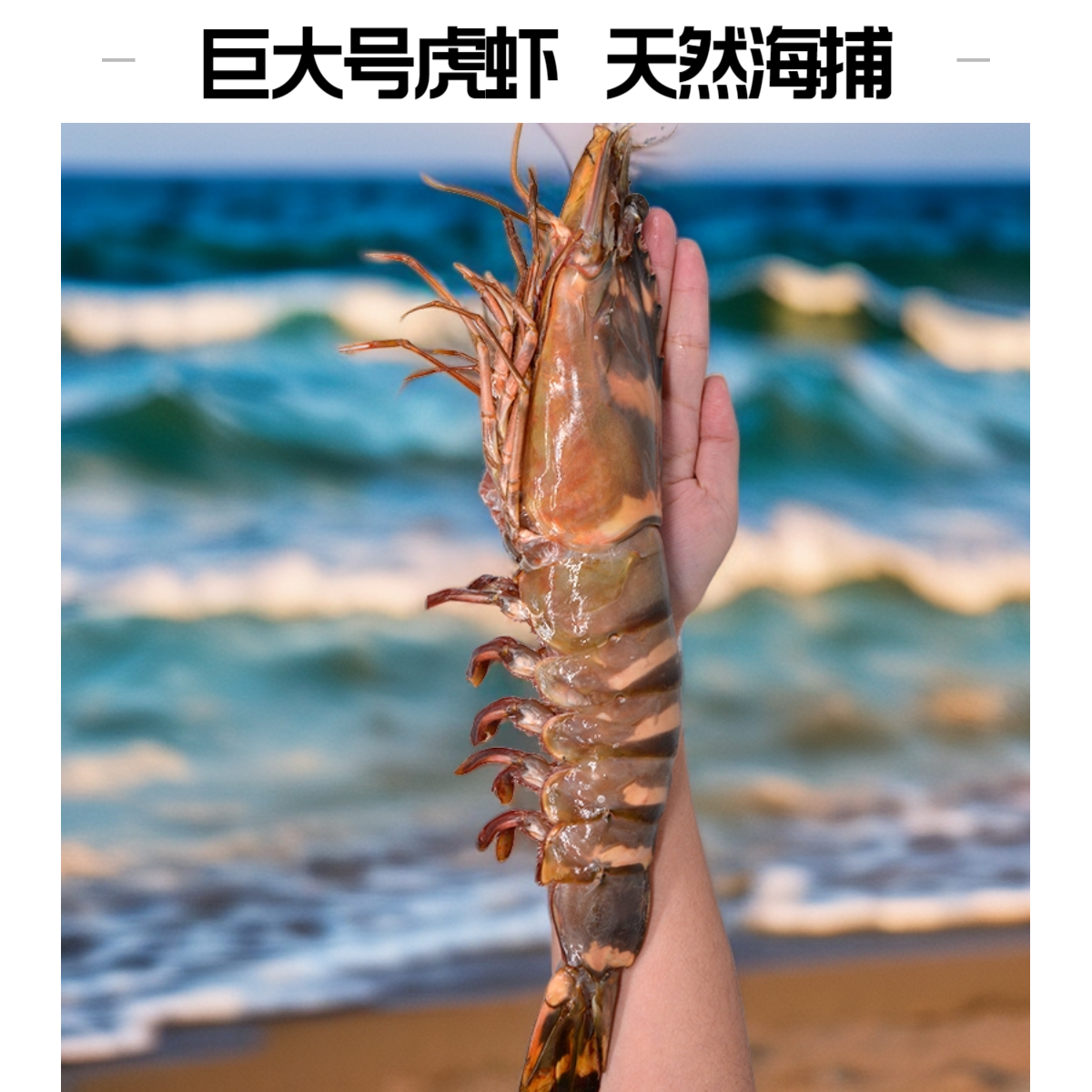 大金刚虾青岛新鲜黑虎虾斑节罗氏虾大号虾白虾大竹节虾海捕大虾