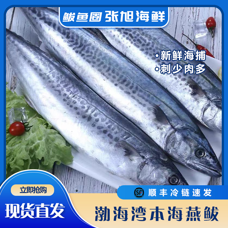 渤海湾 本海鲅鱼 燕鲅4斤 冷冻顺丰