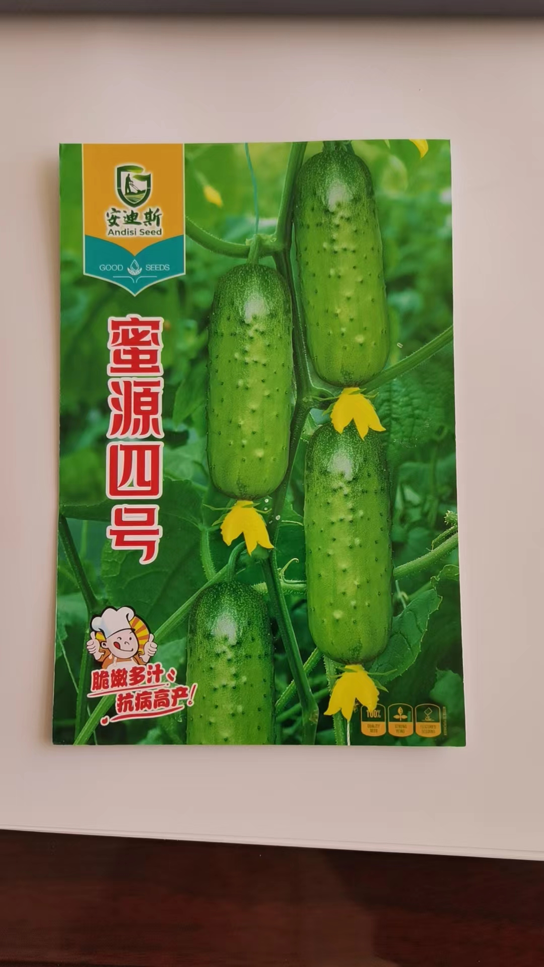 蜜源四号水果黄瓜