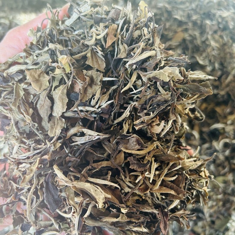 2018年春老树白茶半斤装