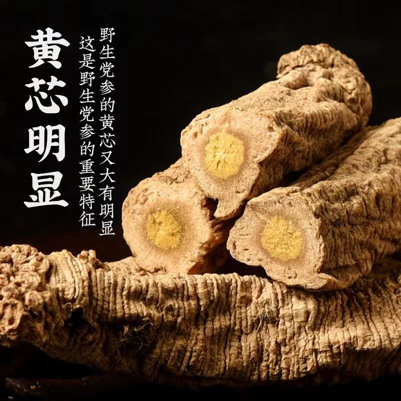 老党参沙棘林伴生甘肃岷县大山