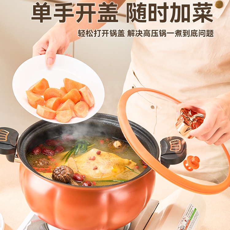 网红烹饪款微压锅韩式压力锅料理锅焖烧锅大容量南瓜锅不粘锅礼品