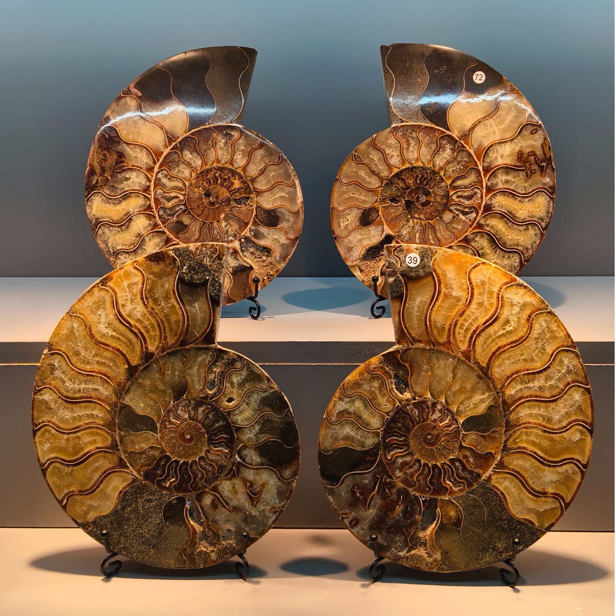 奇趣艺术家居摆件