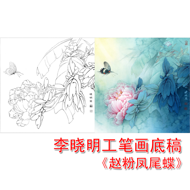 李晓明工笔画四尺斗方赵粉凤蝶工笔画白描底稿线稿实物打印稿L143