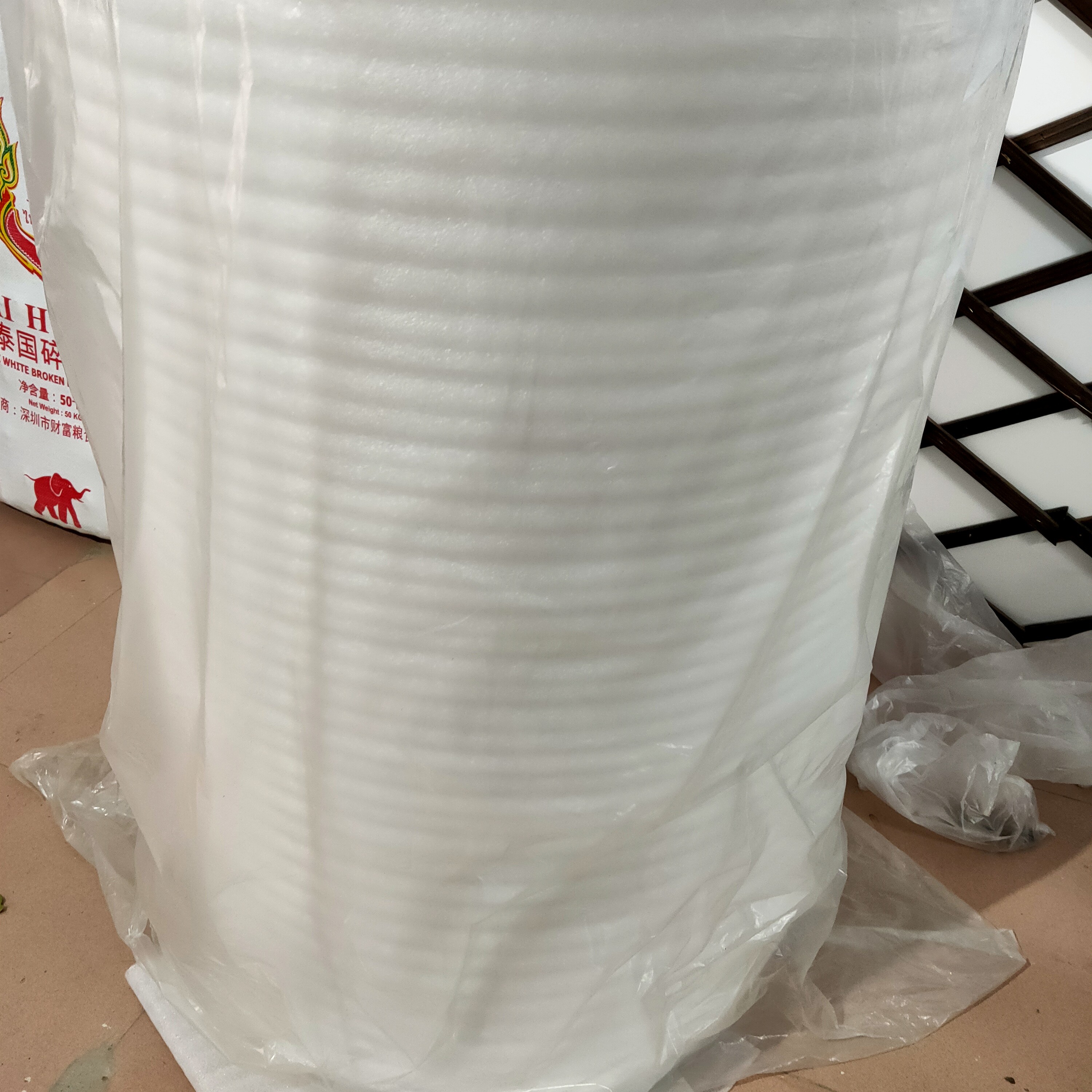 5度以下兰花保温，拍了随手发