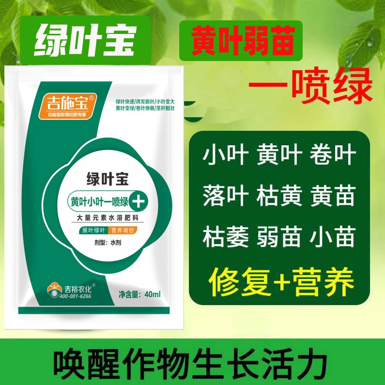 绿叶宝秸秆叶绿素氨基酸黄叶死苗增效活性增厚水溶肥快速绿叶素