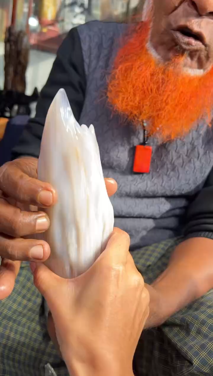 【闪购商品】硅化玉（树化玉）珠宝奇石未镶嵌树化玉拍一发一