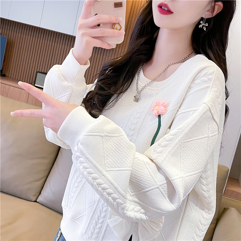 卫衣女2024新款春秋韩版宽松设计薄款套头小个子短款提花设计上衣