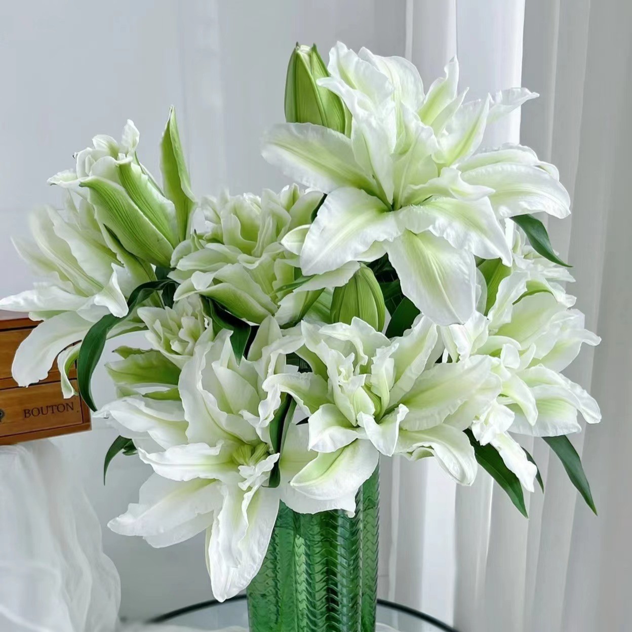 【如熙臻品】三头艾莎   -  重瓣百合