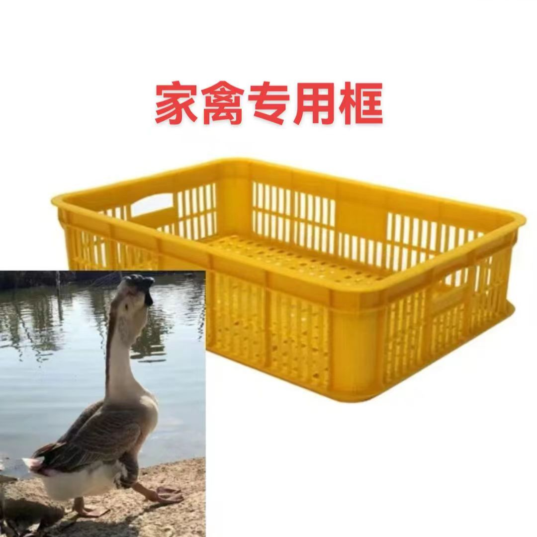 【优质狮头鹅收纳框】3两左右pvc材料