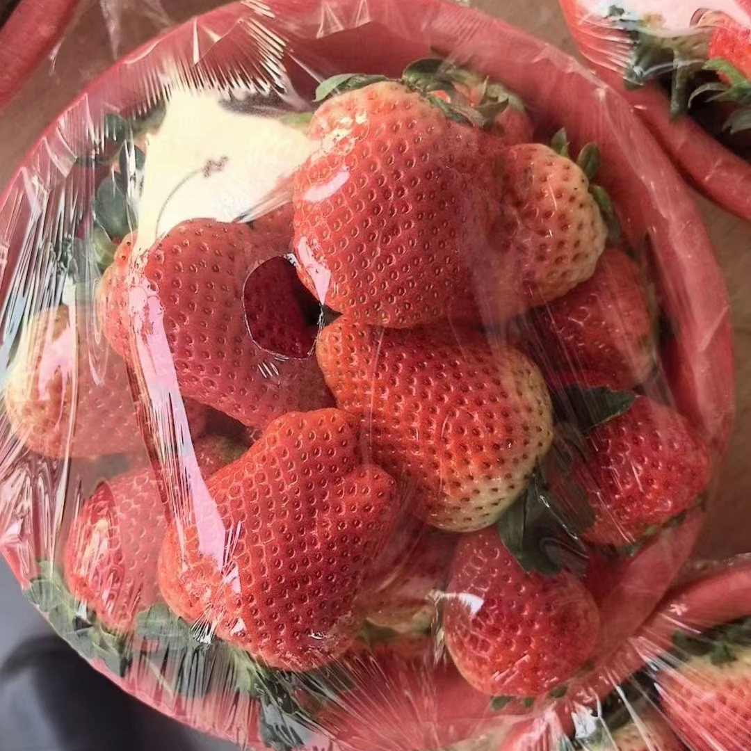 本地红颜草莓大果一盆约2斤