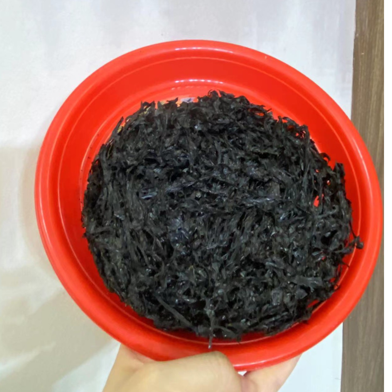 【紫菜】口感脆 香味好 甜 新菜