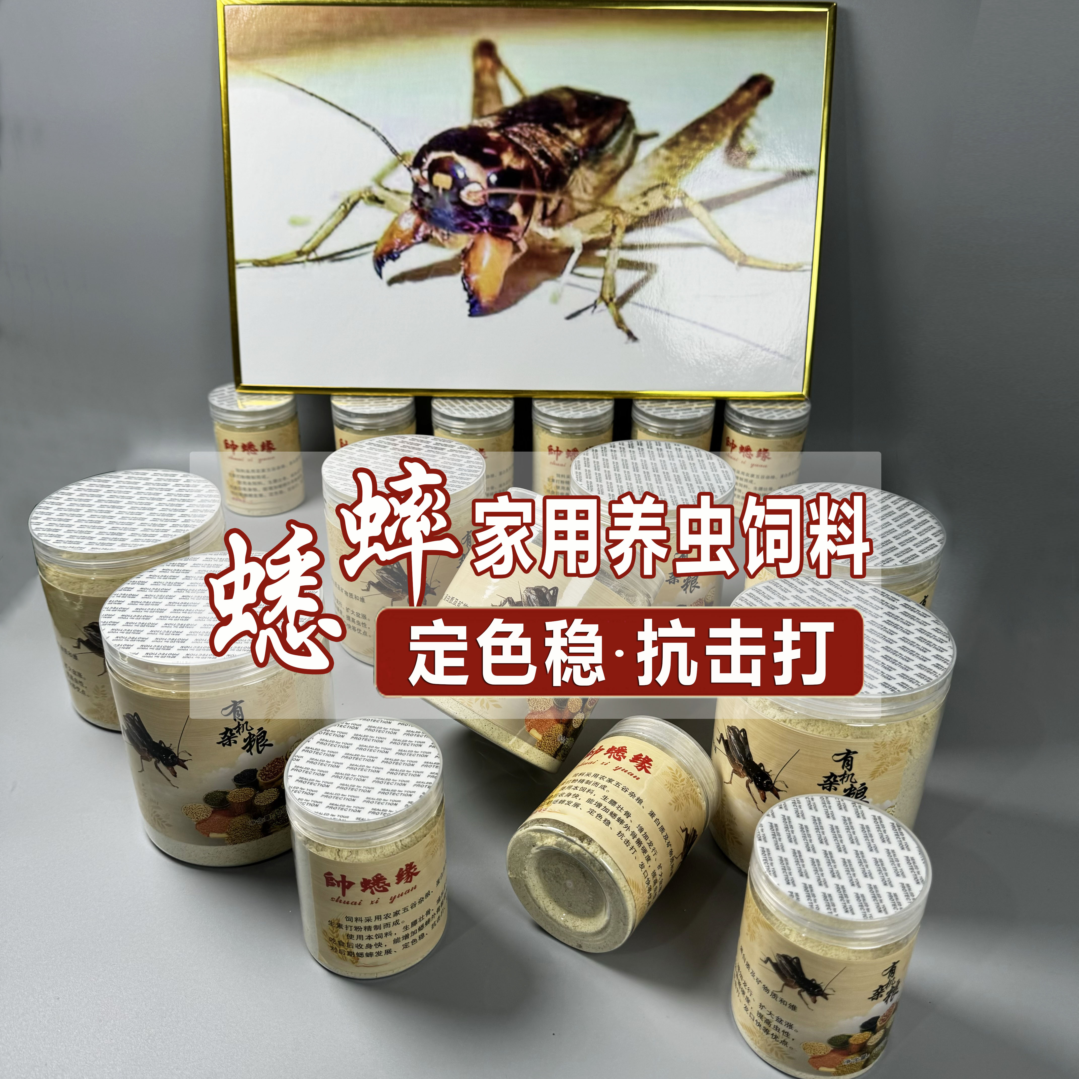 蟋蟀家用喂养饲料斗蟋蟀斗蛐蛐饲料