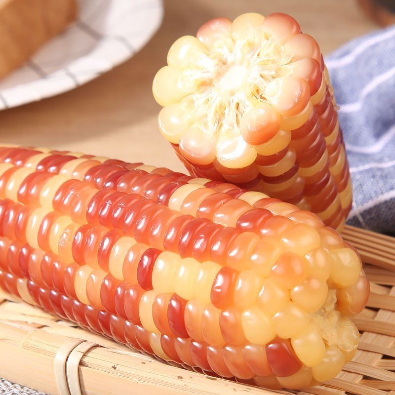 云南西双版纳小花糯玉米新鲜甜糯粘玉米非转基因即食减脂黏玉米棒