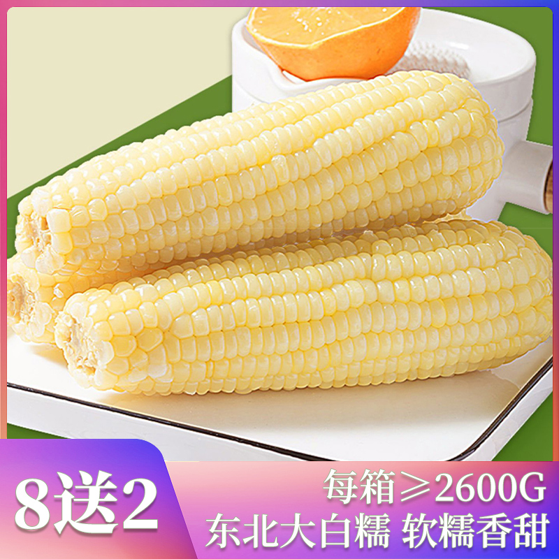 【10根正宗东北粘糯玉米白糯玉米粘玉米≥280G/棒早餐代餐玉米