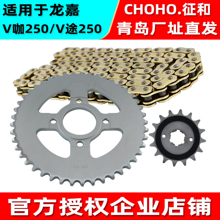 征和适用于龙嘉V咖V途J250VL摩托车征和加厚静音油封金链条牙盘轮