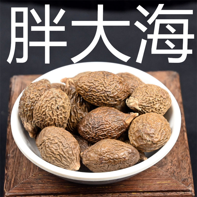 胖大海 中药材散装胖大海果 新鲜泡大海干果宜搭金银花甘草泡水