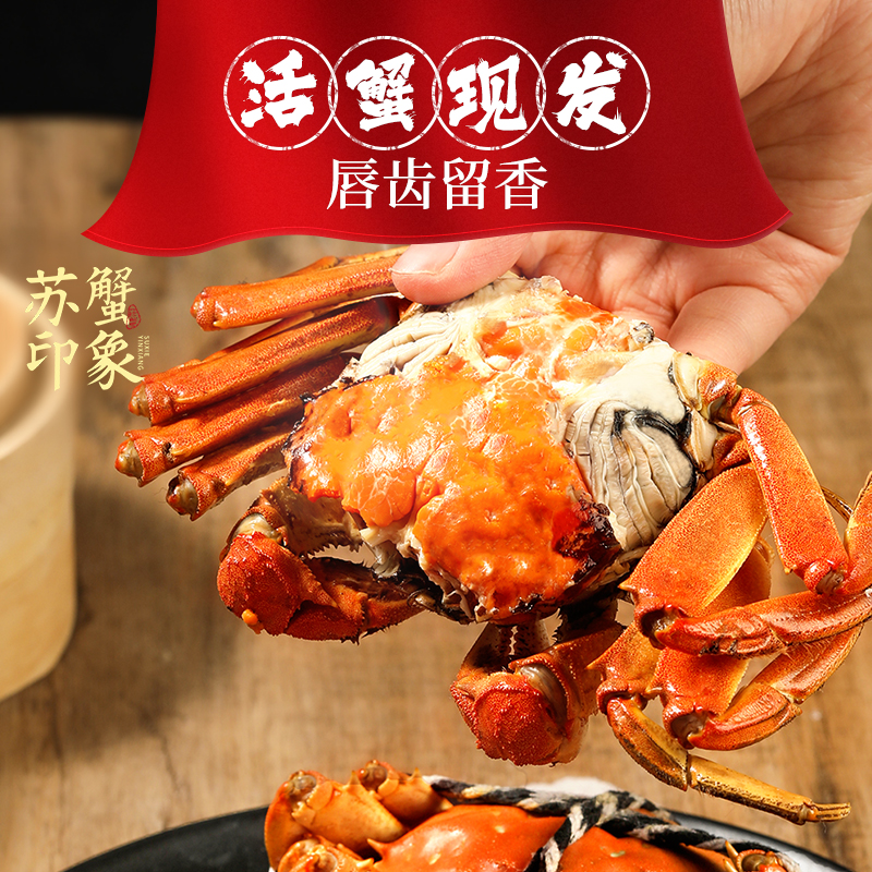 （江苏活蟹直发）新鲜活蟹 全母2.6两-2.3两      8只＋2只 顺丰鲜达