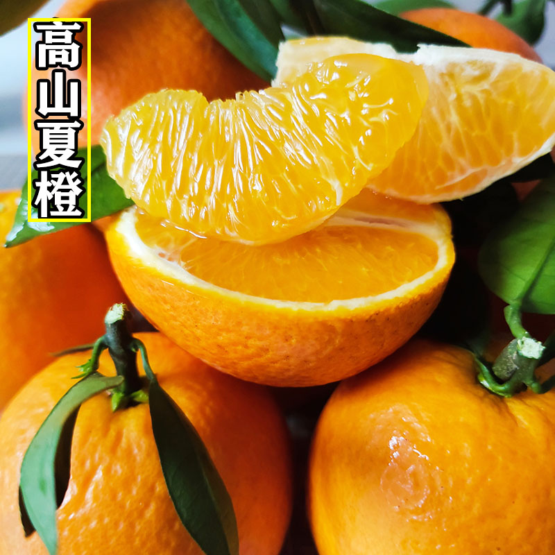 广西桂林夏橙应季新鲜水果酸甜可口现摘橙子3斤/5斤/9斤