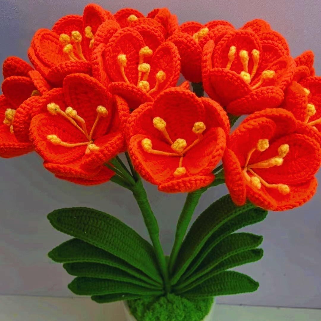 燕子家君子兰材料包