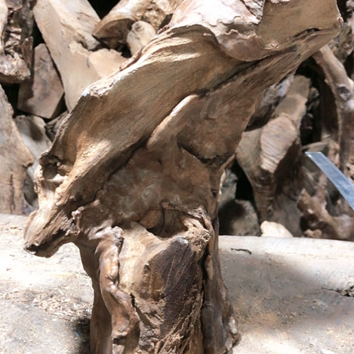 【闪购商品】红贵宝