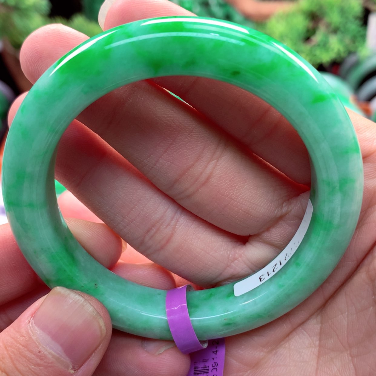 【闪购商品】翡翠手镯未镶嵌珍