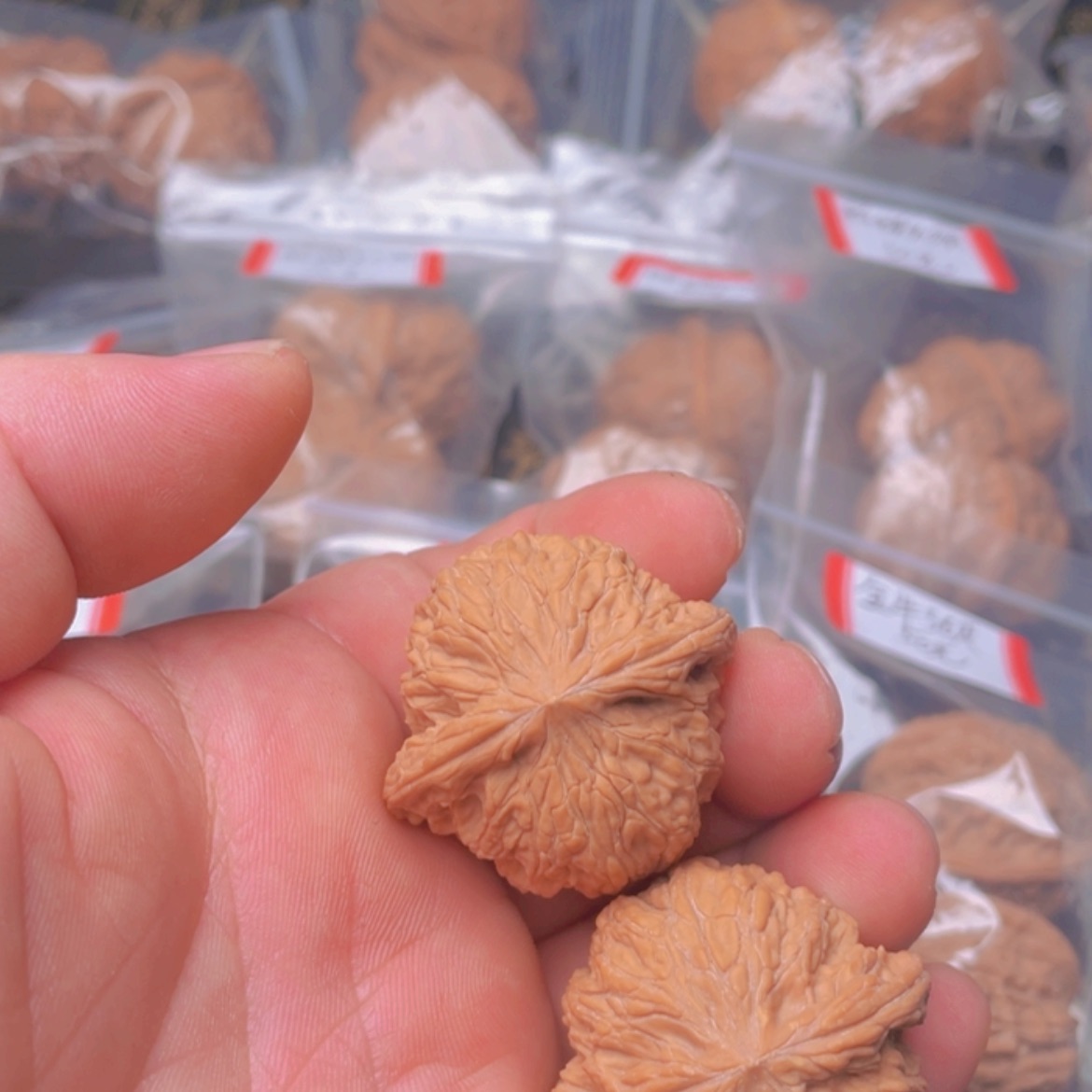 【闪购商品】桃核吊坠