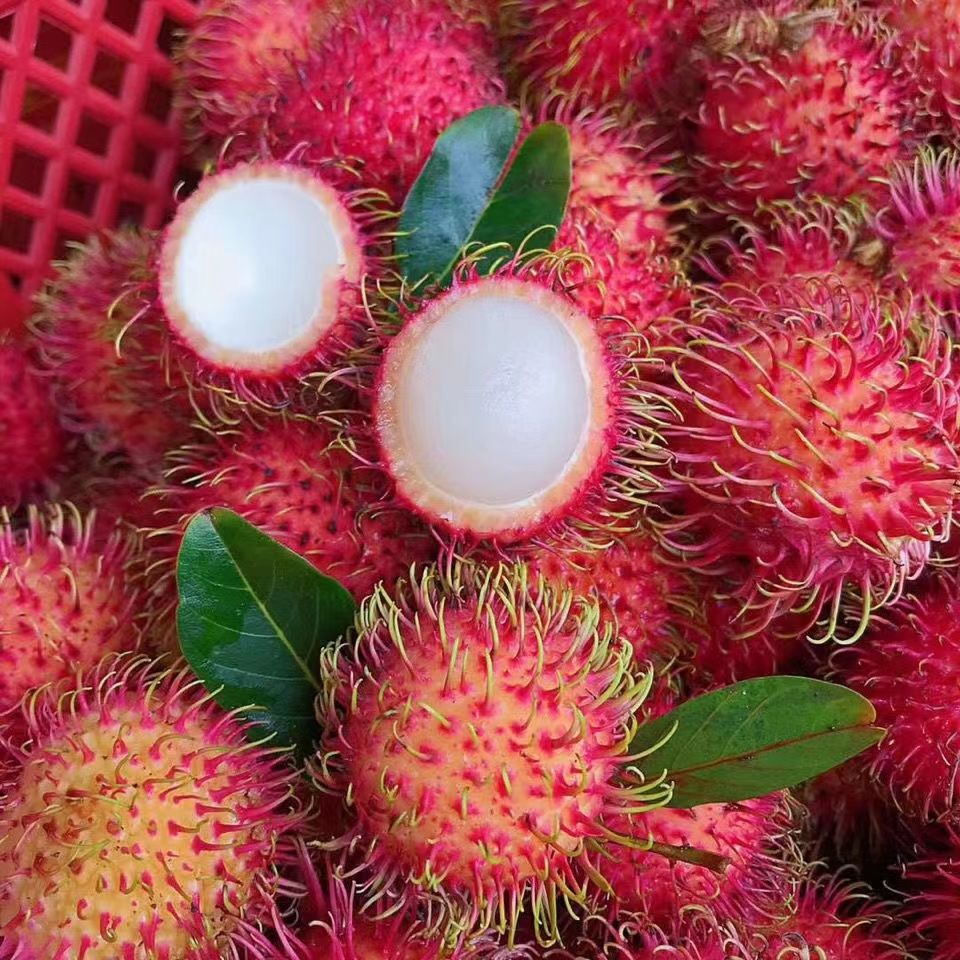 新鲜红毛丹现摘现发新鲜水果毛枸杞荔枝孕妇当季水果甜