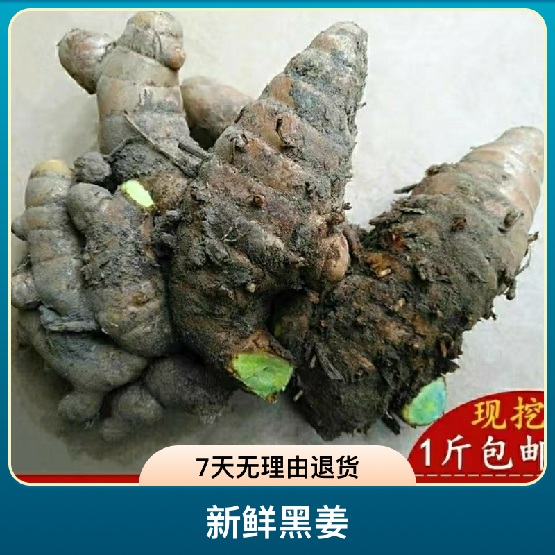 新鲜黑姜野生1斤-5斤黑心姜蓝姜正宗乌姜莪术现挖绿肉姜生化汤